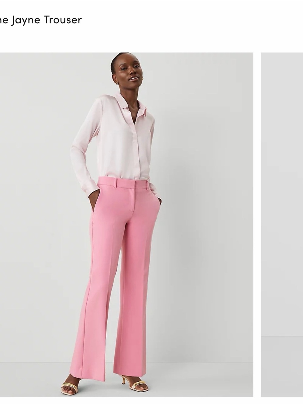Ann Taylor Pink Wide-Leg Trousers